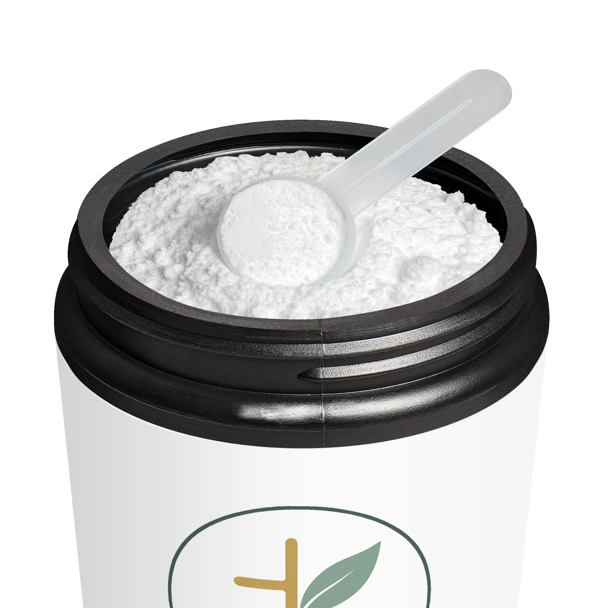 Creatine Monohydrate Supplement (300g, 10.58oz)