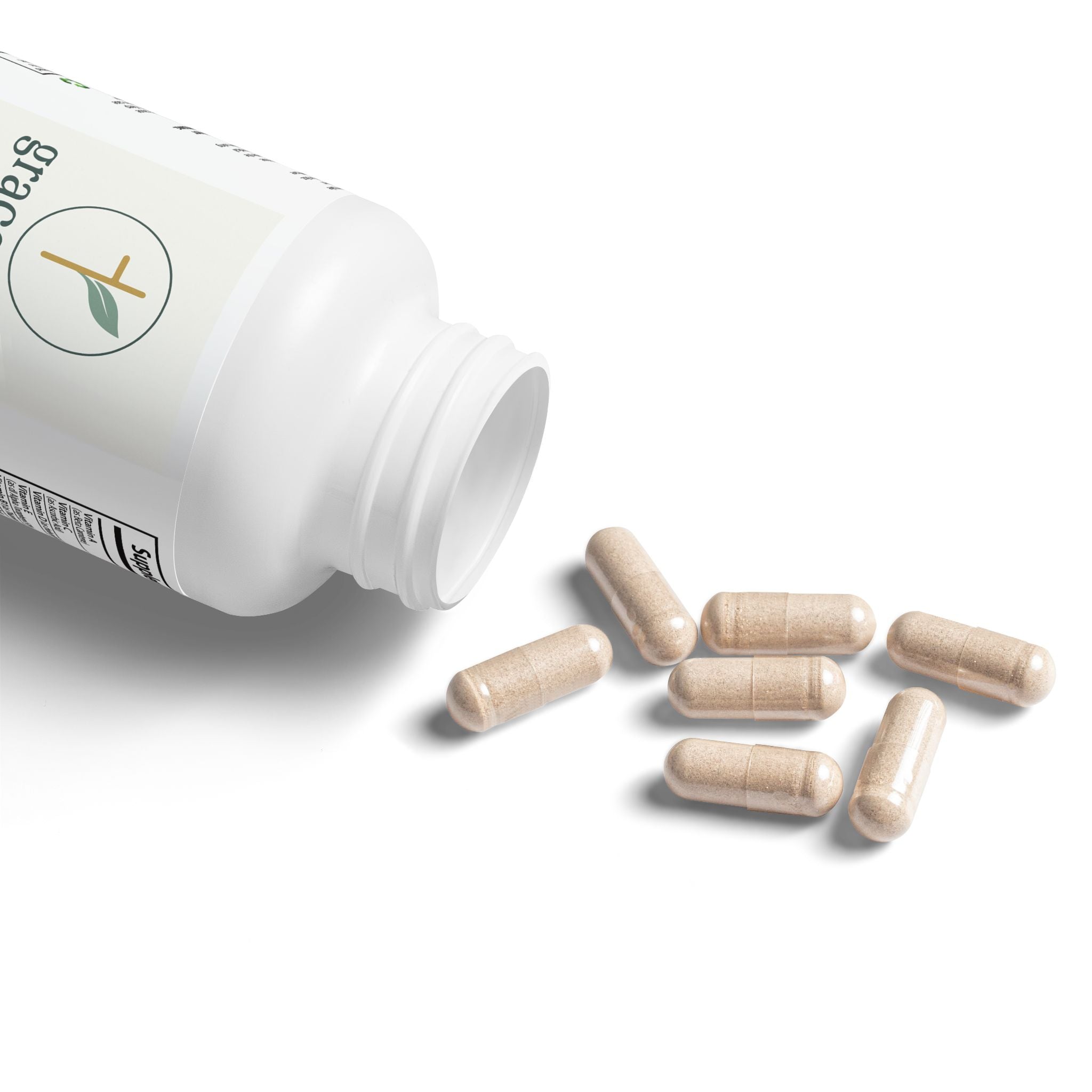 Brain Support Complex Supplement (60 Capsules)